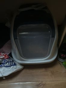 Cat litter Large