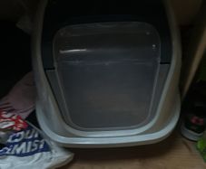 Cat litter Large