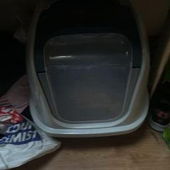 Cat litter Large