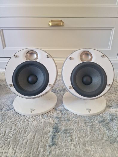 Focal Dome Speakers
