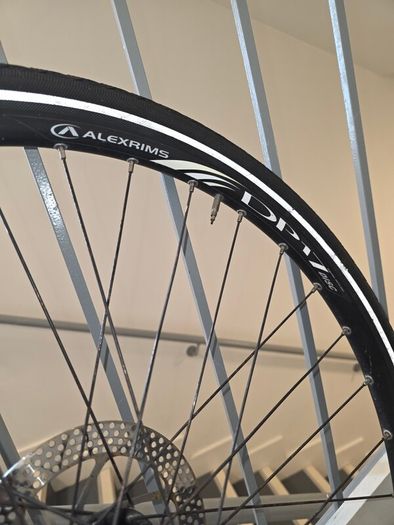 Alexrims dp 17