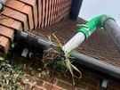 Gutter cleaning Image 2