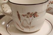 Vintage Arklow Honey Stone Cup and Saucer x6 Whead Field Ceramic Ireland
