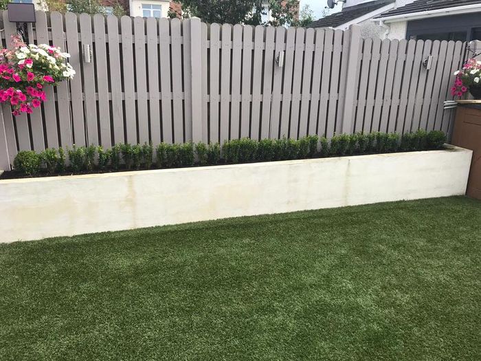 Box Hedging