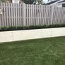 Box Hedging Image 7