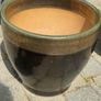 Garden plant pot Image 2