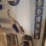 Electric carpet cleaner Image 6