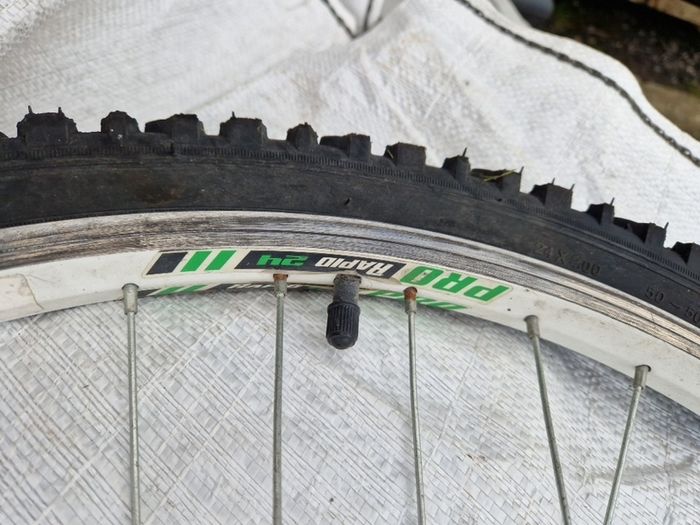 Bicycle Wheels