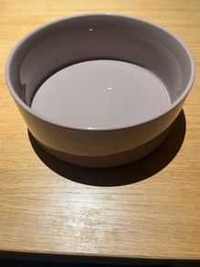 Ceramic Dog Bowl 1.8L/21cm