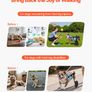 Wheelchair for Back Legs, Adjustable 2 Wheels Pet Wheelchair Image 3