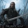Witcher Gearalt 1/6 (Hot Toys scale) Image 8