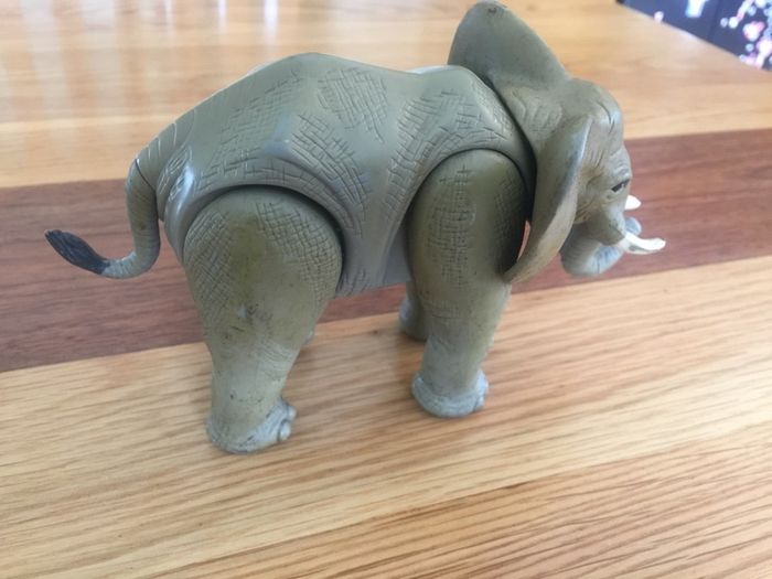 heavy sturdy elephant