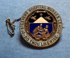 Irish silver Dr Steevens hospital nurses badge 1917