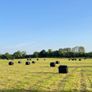 Premium Haylage Kilcock Image 3