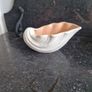 reducta pottery Image 3