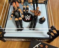 WWE arena and figures