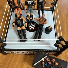 WWE arena and figures