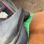 17" saddle Image 3