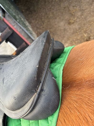 17" saddle