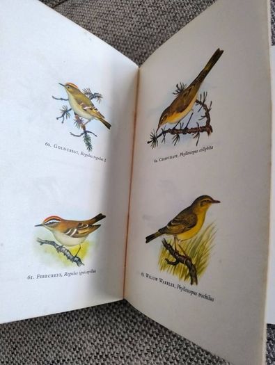Birds in Colour by Bruce Campbell 1974 hardback with dustcover in good condition with some signs of wear on the dustcover see photos over 200 colour illustrations FREE STANDARD POSTAGE INCLUDED