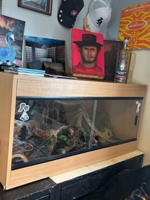 vivarium with ceramic heat emitter