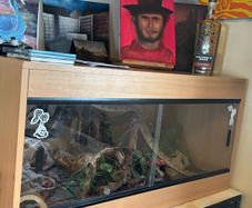 vivarium with ceramic heat emitter