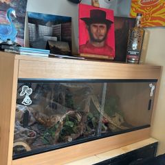 vivarium with ceramic heat emitter