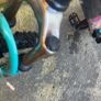 turquoise bike Image 8