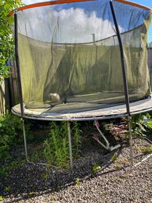 Trampoline free