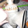 Old Mincer, Postage Available on all my Items or Collection in Rochfortbridge Westmeath Image 4