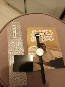 ladies  Pilgrim watch
