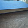 The Four Glorious Years by David Hogan First Edition Signed Image 7