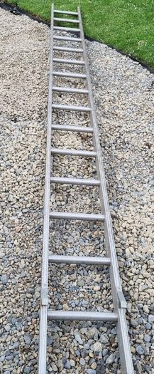 ladder