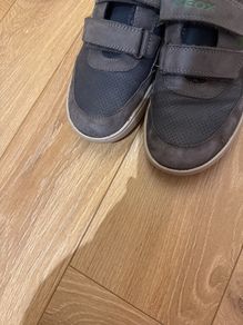 Geox boys shoes