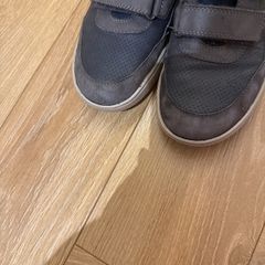 Geox boys shoes