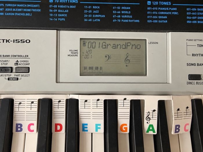 Casio CTK-1550 61-Key Electronic Keyboard + Adjustable Stand