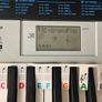 Casio CTK-1550 61-Key Electronic Keyboard + Adjustable Stand Image 3