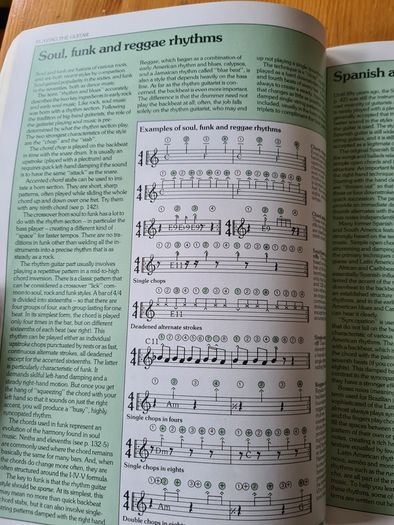 The Guitar Handbook By Ralph Drnyrr. Large Vole Book Of 251 Pages For Amature & Professional.