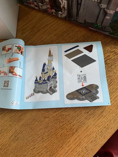 Disney Castle