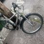 Apollo Twilight Mountain bike Image 3
