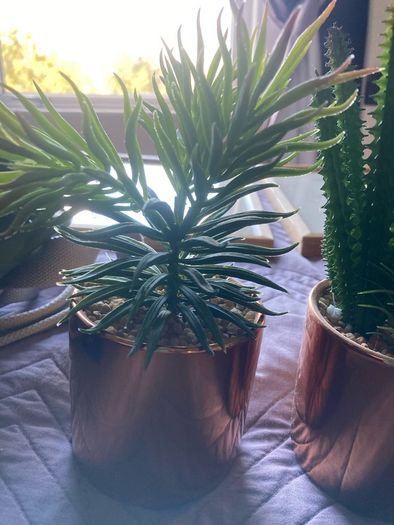 Artificial plant small pair