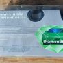 Diamondbrite  Camera Image 3