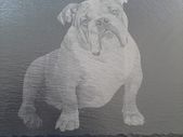 bulldog present dogs gift slate