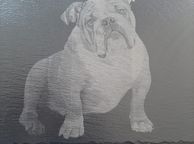 main image for ad bulldog present dogs gift slate