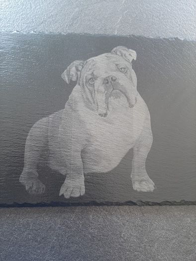 bulldog present dogs gift slate