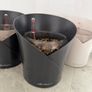 Lechuza Orchidea Self-Watering Pots x4 Slate Grey x2 & White Matte x2 Image 4