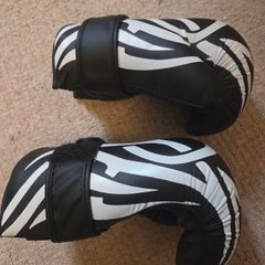 kickboxing  gloves