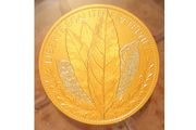 France 250 Euro Gold (.999) Brilliant Uncirculated Coin 2021 - The Laurel - Natures de France