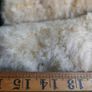 Vintage Steiff Teddy Bear (with one eye) Image 7