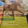 Mixed Lot of Horse Racing Programmes and Memorabilia Image 3